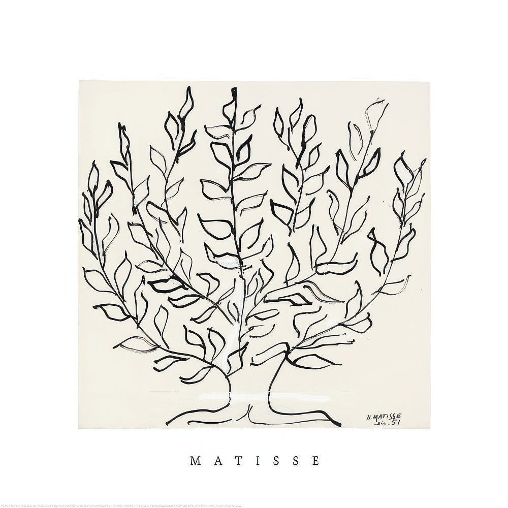 Matisse - The Plane Tree Square Print