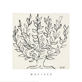 Matisse - The Plane Tree Square Print