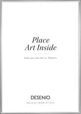 Picture frame Silver, 20 x 28 in