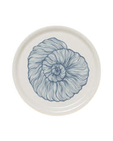 Seashell Tray