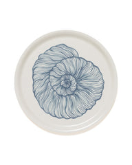 Seashell Tray