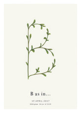 Botanic Letter B Personal
