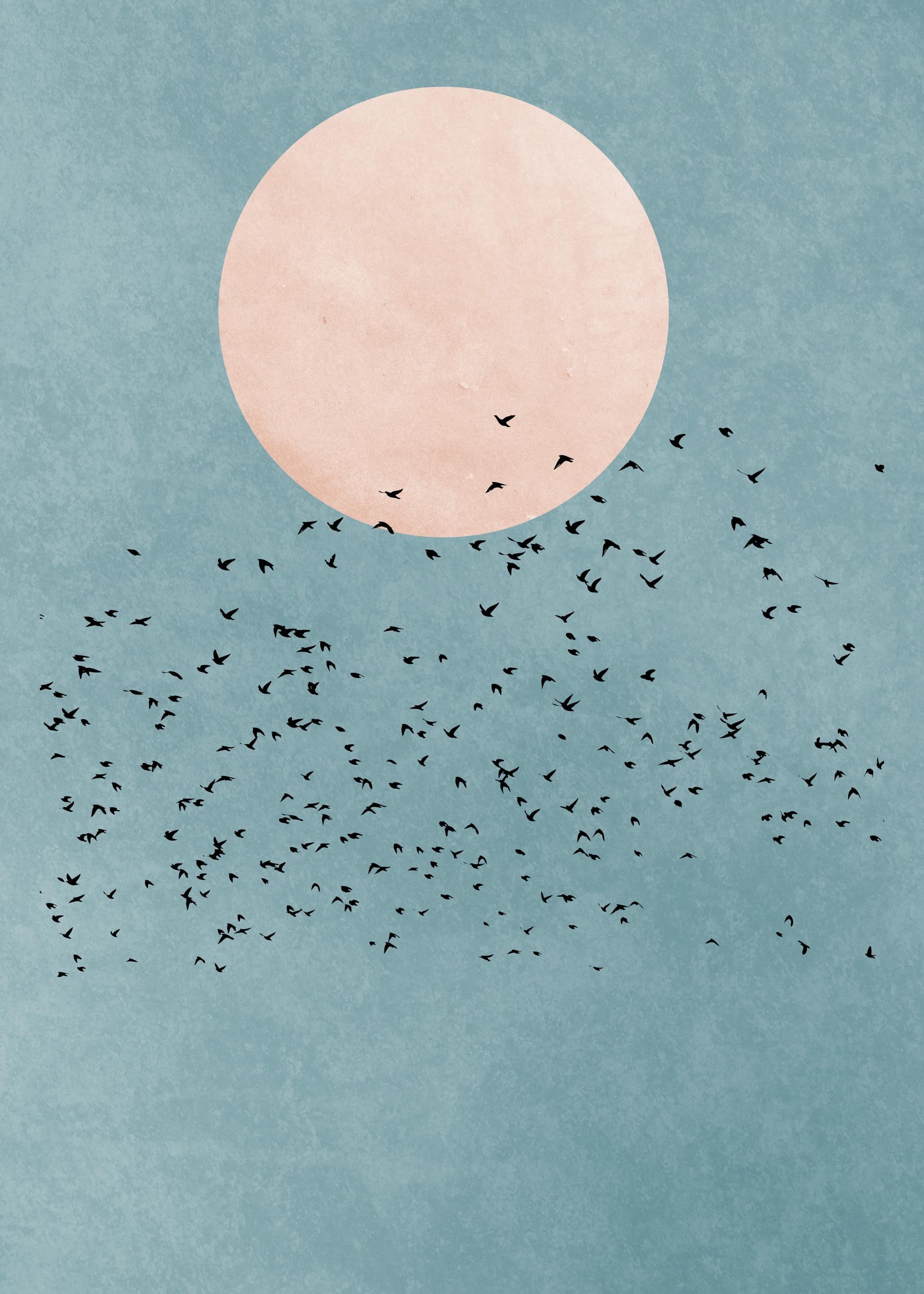 Boris Draschoff / Kubistika - Birds Fly Away Print