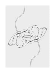 Line Poppies Print