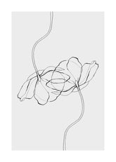 Line Poppies Print