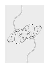 Line Poppies Print