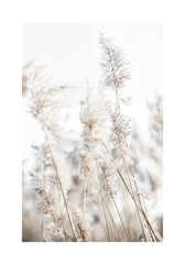 In the Reeds No2 Print