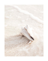 Nature Creation Print