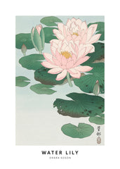 Ohara Koson - Water Lily Print