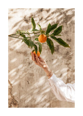 Picking Oranges Print