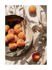 Apricots In Sunlight Print