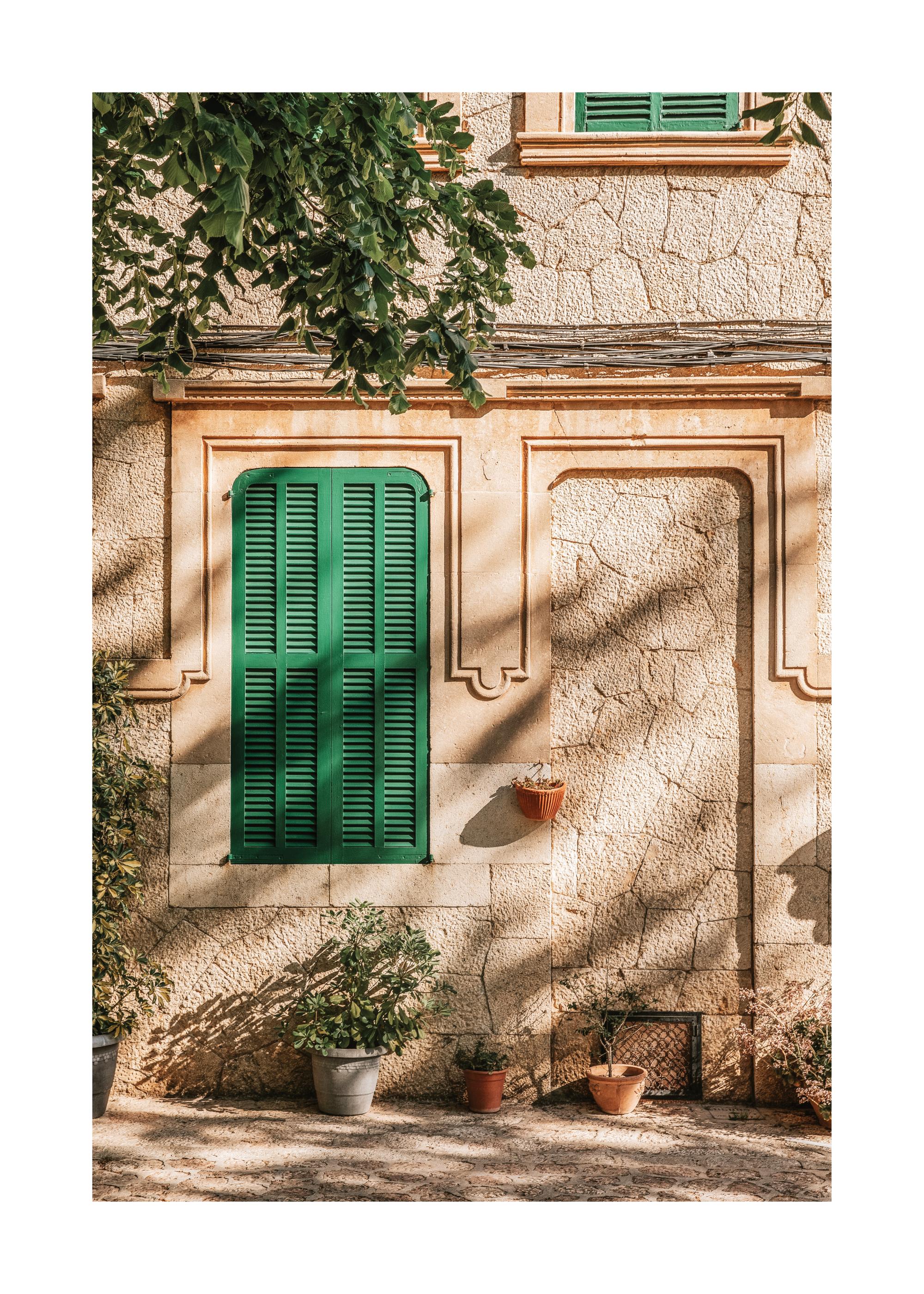 Green Window Print