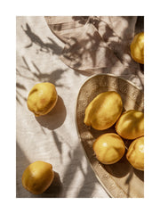 Lemons In Sunlight Print
