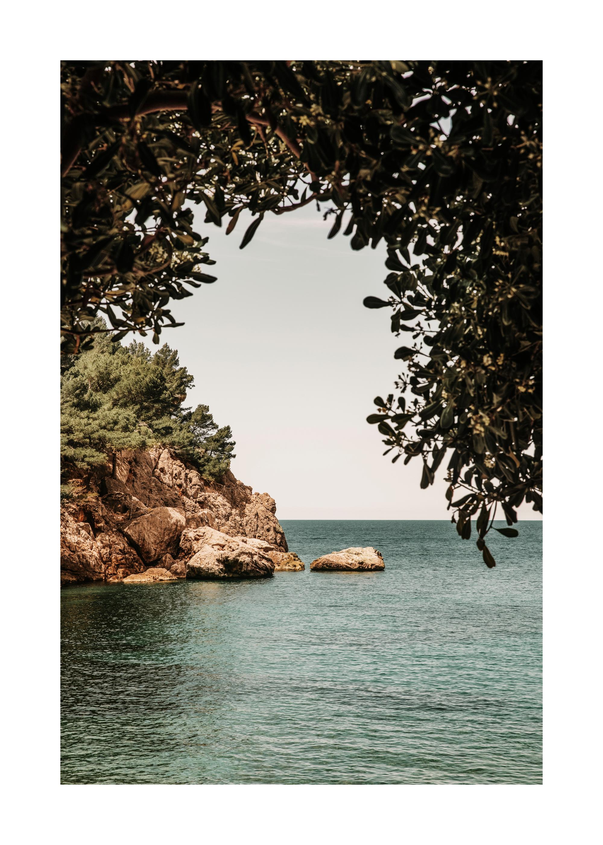 Organic Arch Print