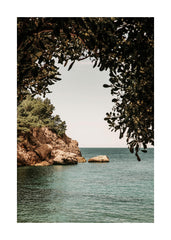 Organic Arch Print