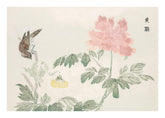 Chinese Peony Print
