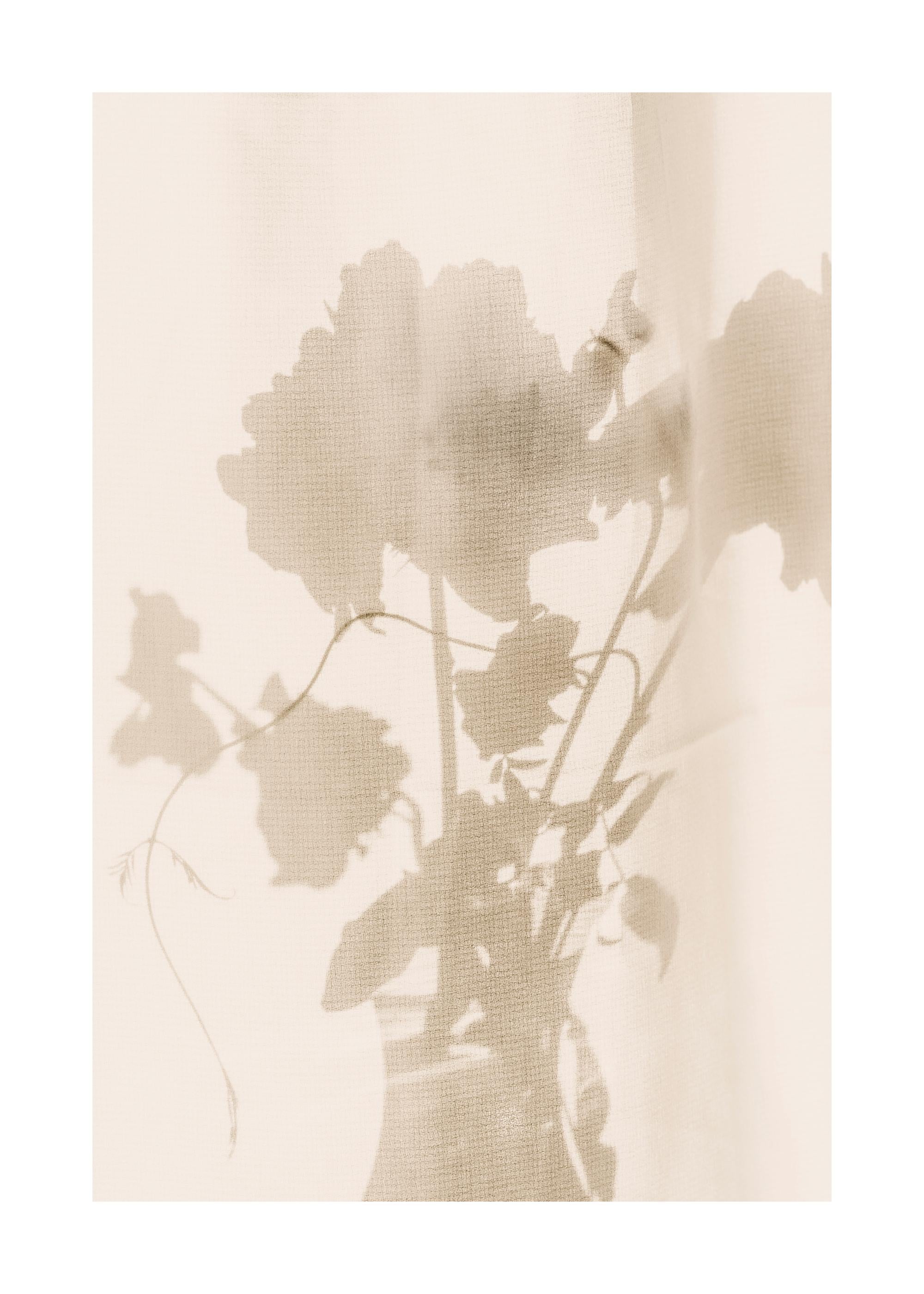 Flower Shade Print