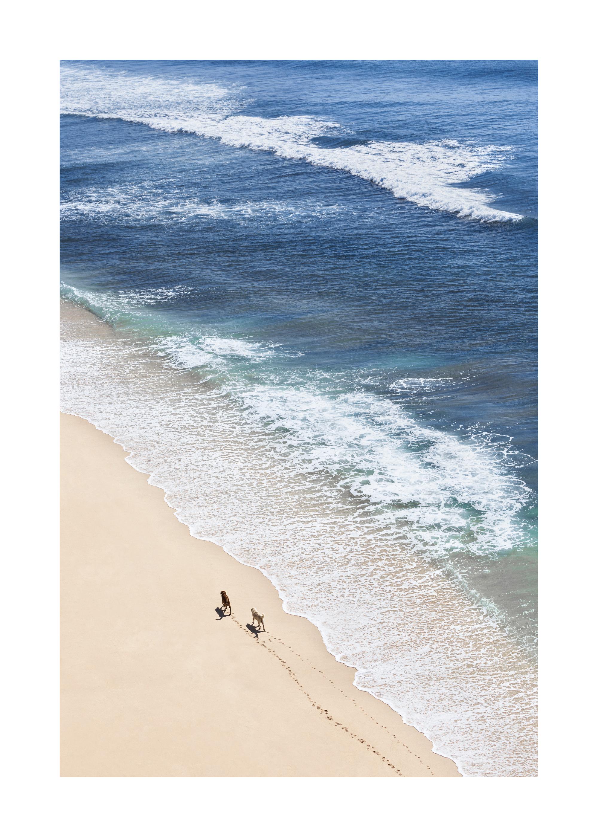 Dogs on Beach Print
