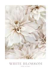 White Blossom No2 Print