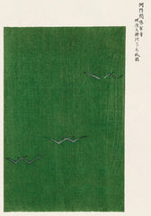 Taguchi Tomoki - Yatsuo No Tsubaki Green Print
