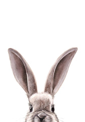 Watercolor Bunny Print