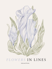 Flowers in Lines No1 Print