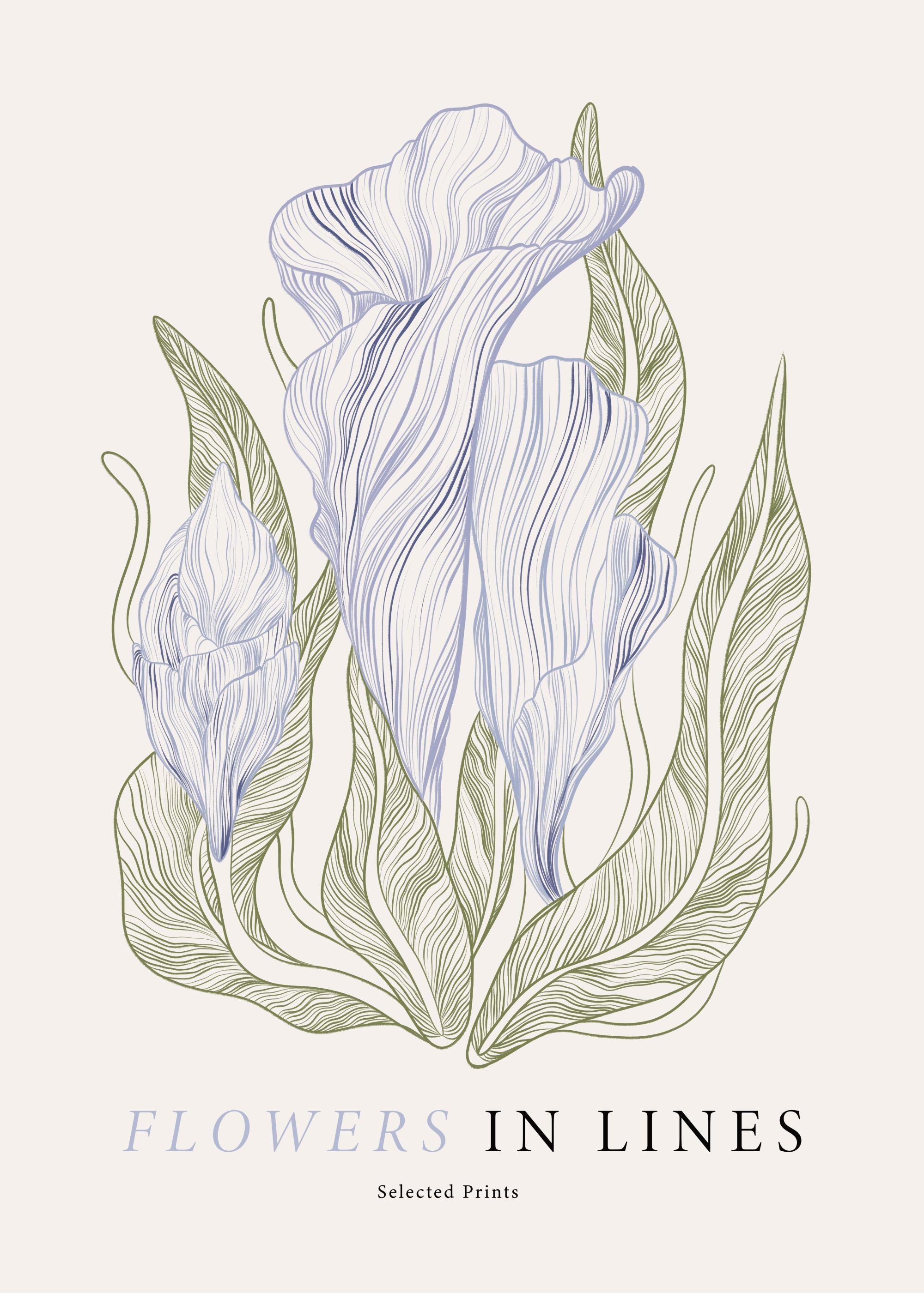 Flowers in Lines No1 Print