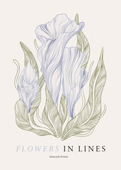 Flowers in Lines No1 Print