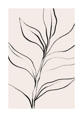 Botanical Lines Print