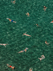 Mediterranean Mingle Print