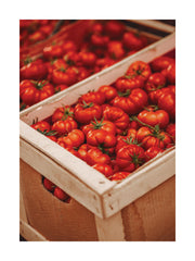Pomodoro Passion Print