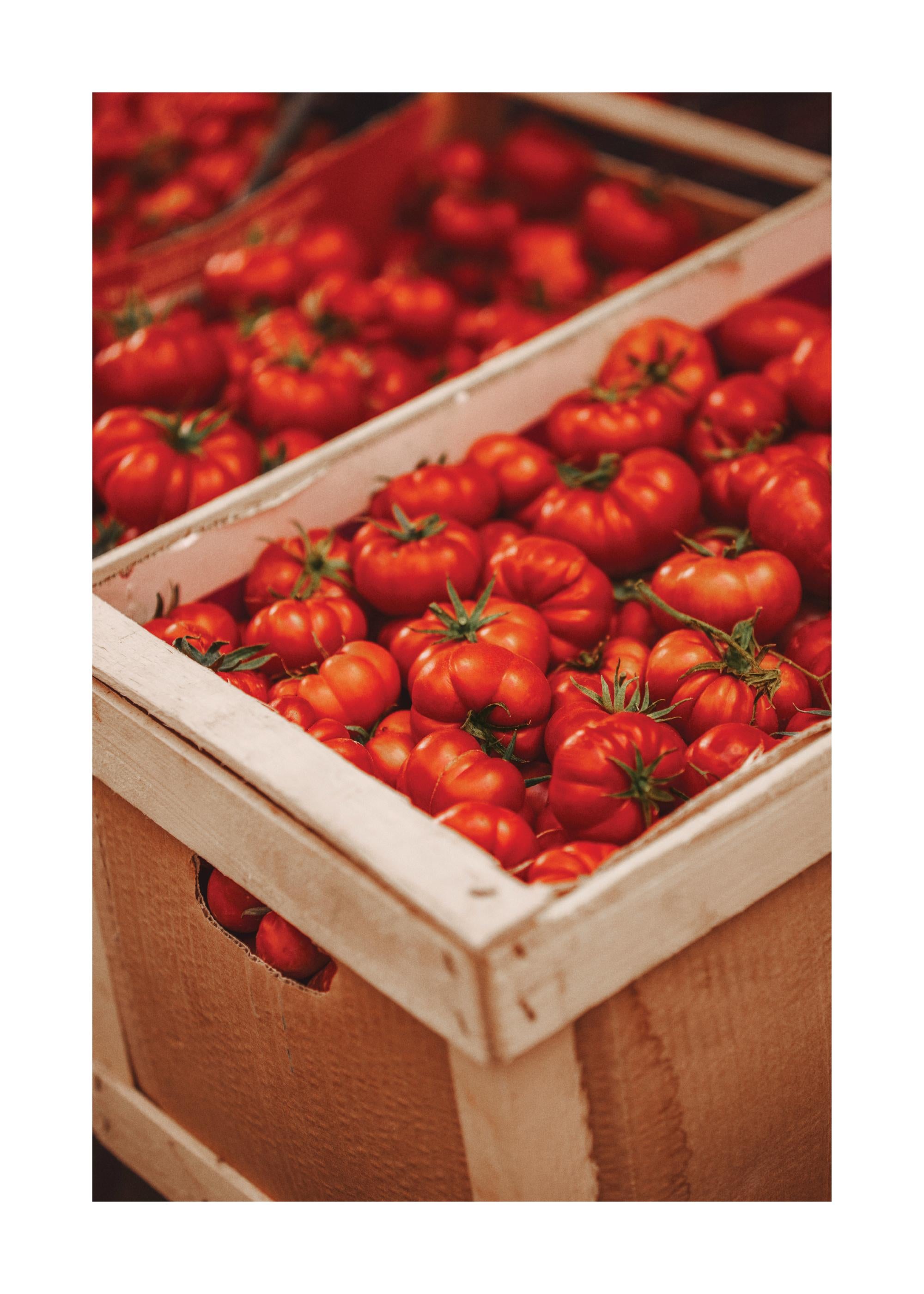 Pomodoro Passion Print