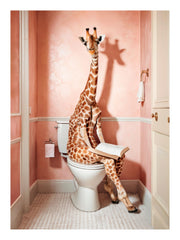 Giraffe Sitting on the Toilet Print