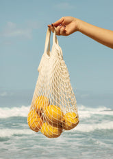 Atlantic Zest Print