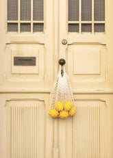 Citrus Delivery Print