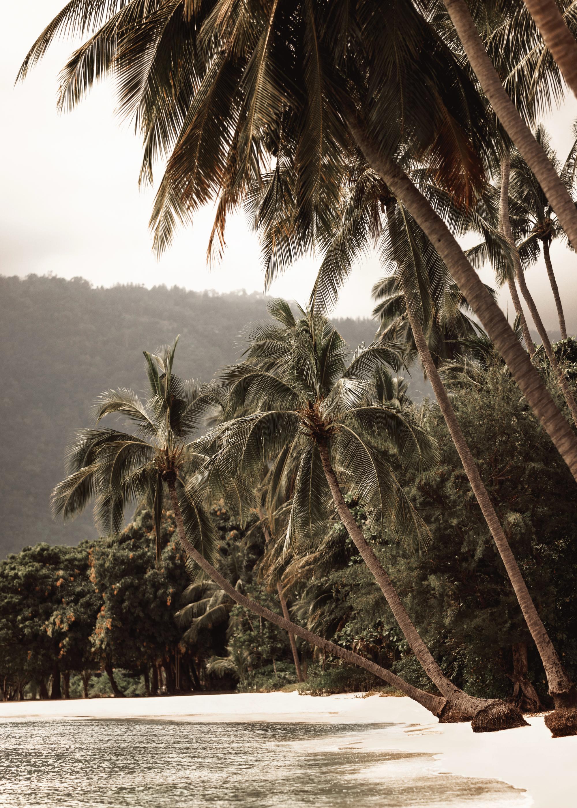 Tropical Embrace Print