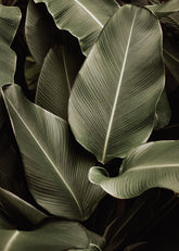 Green Symphony Print