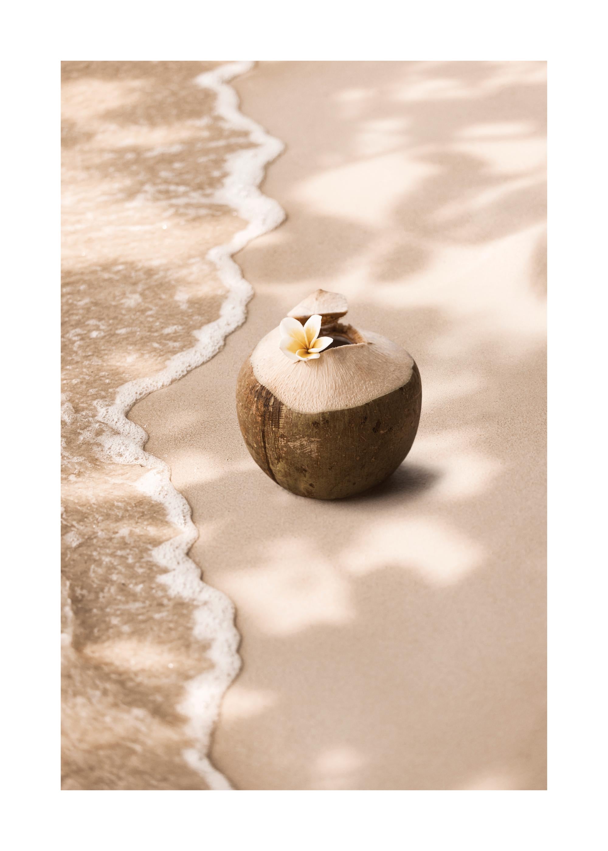 Coconut Breeze Print