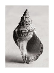 The Art of the Sea Print