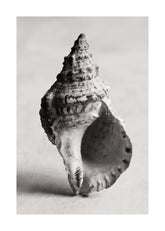 The Art of the Sea Print