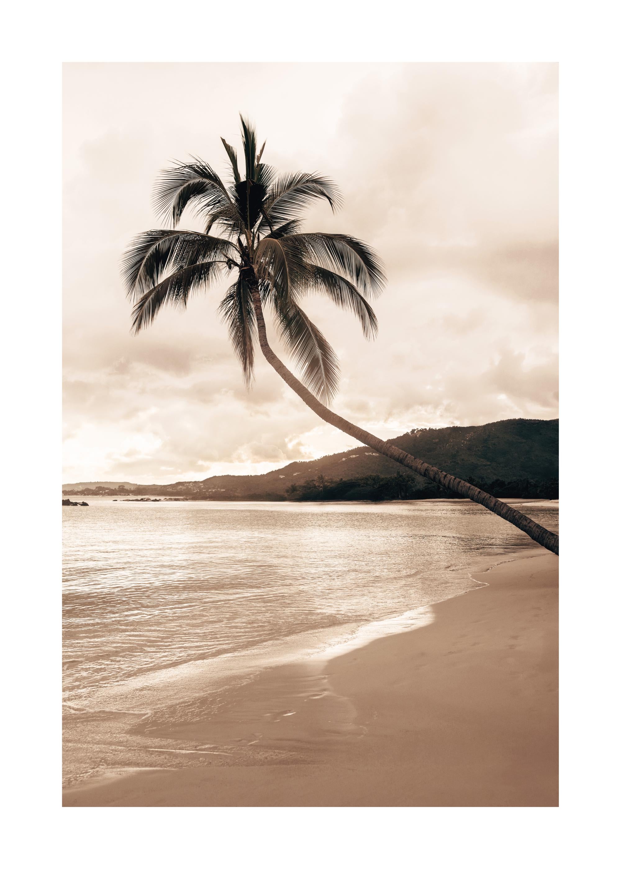 Golden Palm Trees Print