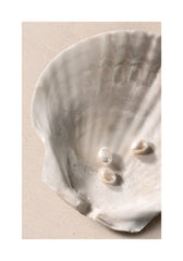 Ocean's Jewels Print