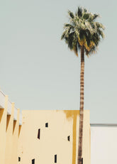 Palm Springs Serenity Print