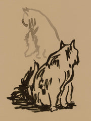 Study of Cat Print