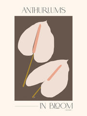 Adele Naidoo - Anthuriums in Bloom Print