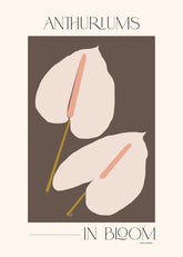 Adele Naidoo - Anthuriums in Bloom Print