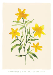 Rosanna Corfe - Daffodils Print