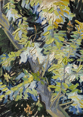 Van Gogh - Blossoming Acacia Branches Print