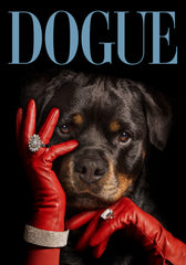 Dogue No3 Print