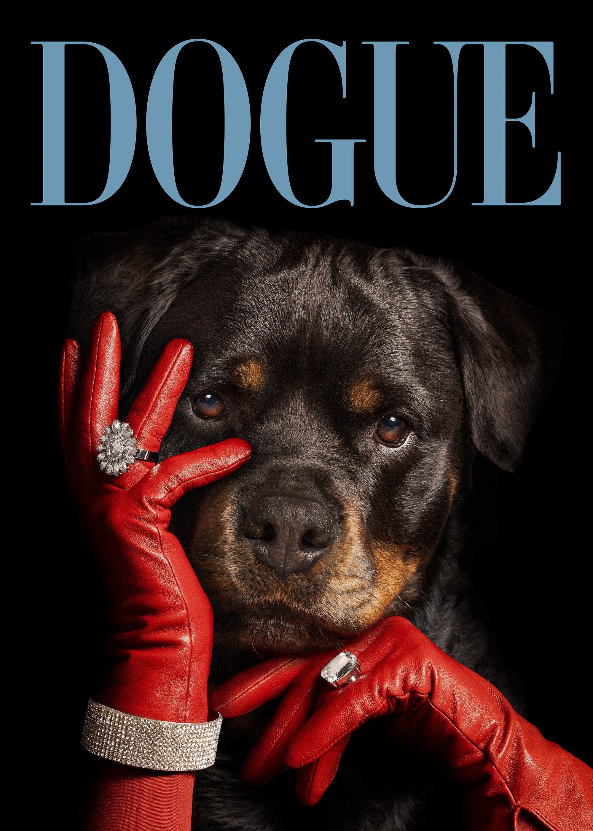 Dogue No3 Print